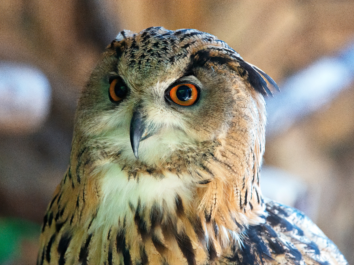 вот так смотреть надо!