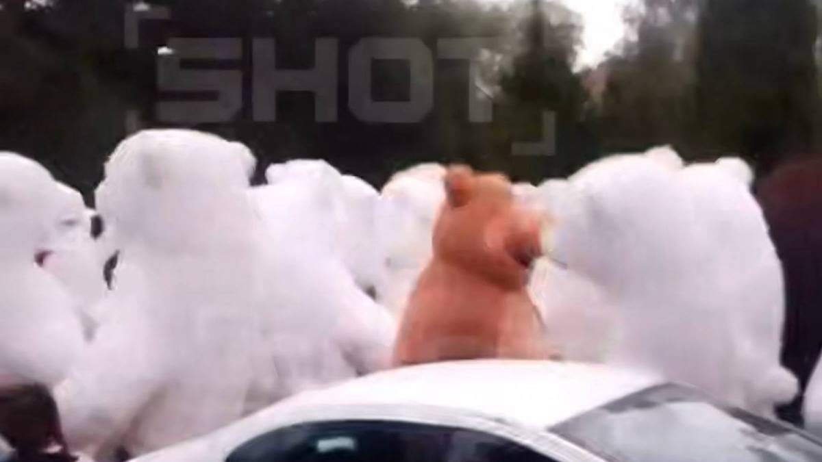    Фото: Скриншот видео / Shot / Telegram