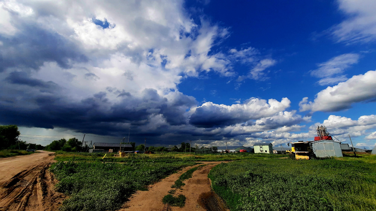 Вчера по дороге с работы сфотографировала 