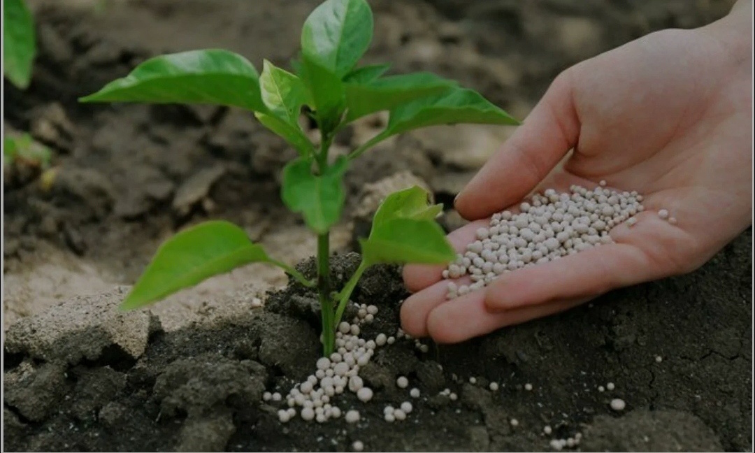 Удобрения. Фото из интернета.