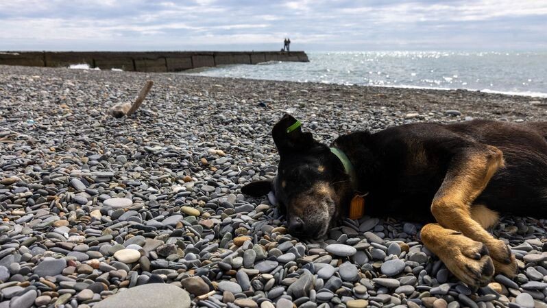    Фото: Федор Воронов / «Ямал-Медиа»
