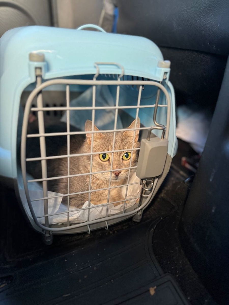 Как отправляли - вспоминать страшно