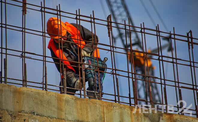    © Анастасия Илюшина / ЛенТВ24