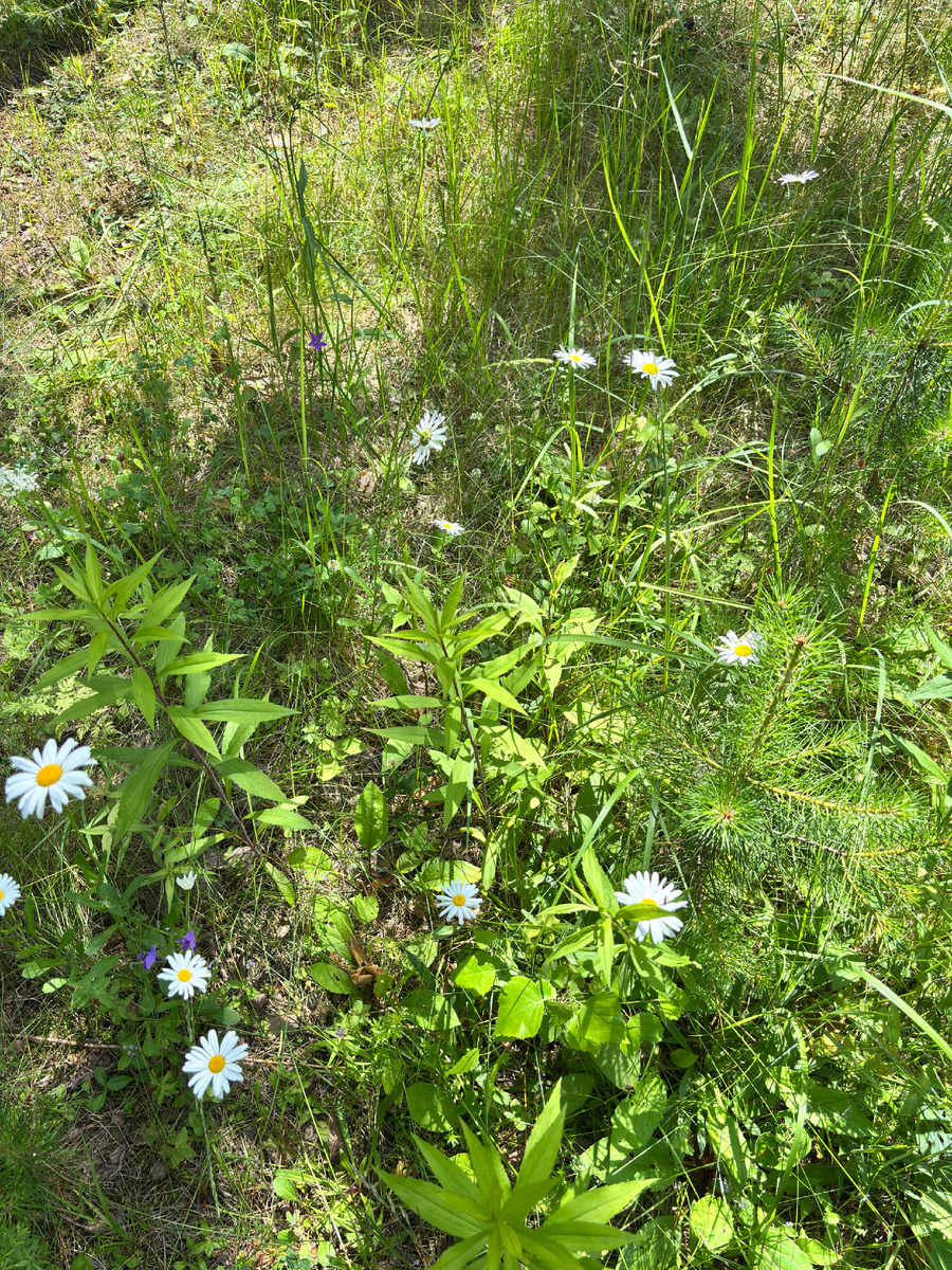 Фото автора , чтобы статья не была голой