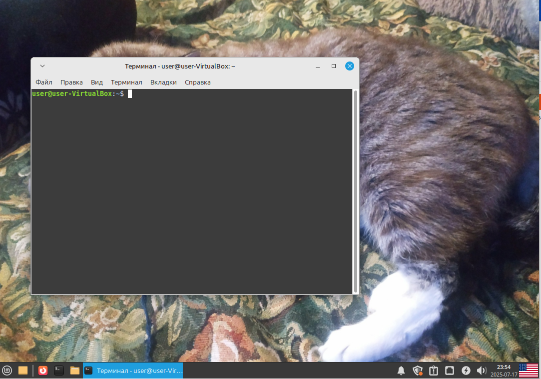 Окно "Терминал"