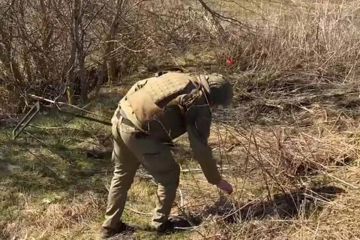    В Курской области саперы находят игрушки и шоколадки со взрывчаткой