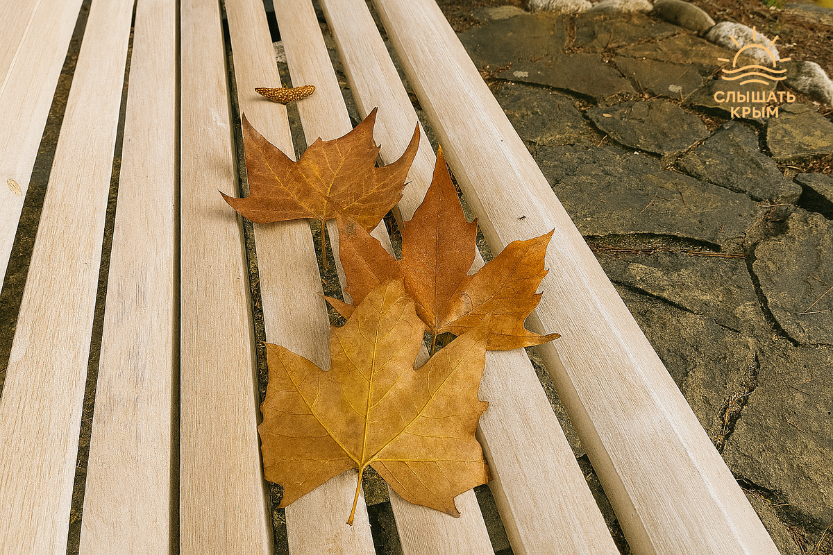 Сухой лист, принесённый ветром на лавку в Массандровском парке — Крым шепчет осенью.