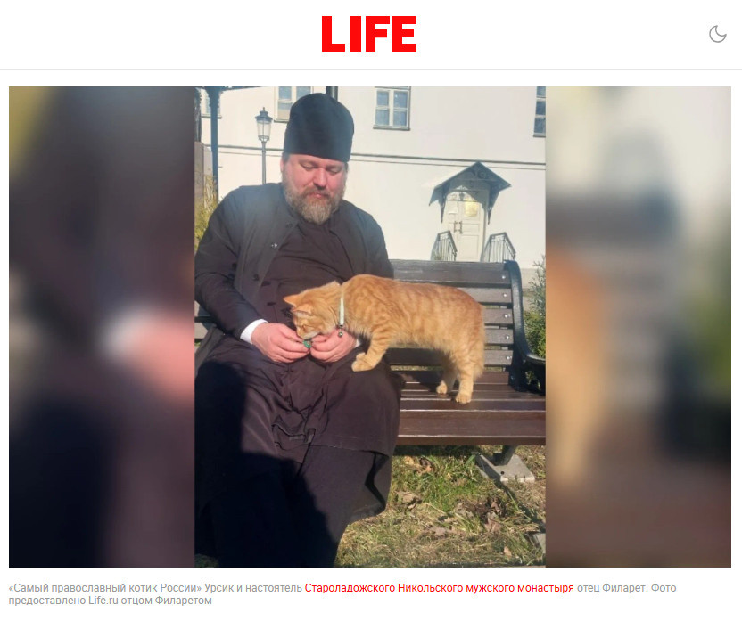    СКРИНШОТ СТРАНИЦЫ САЙТА LIFE.RU