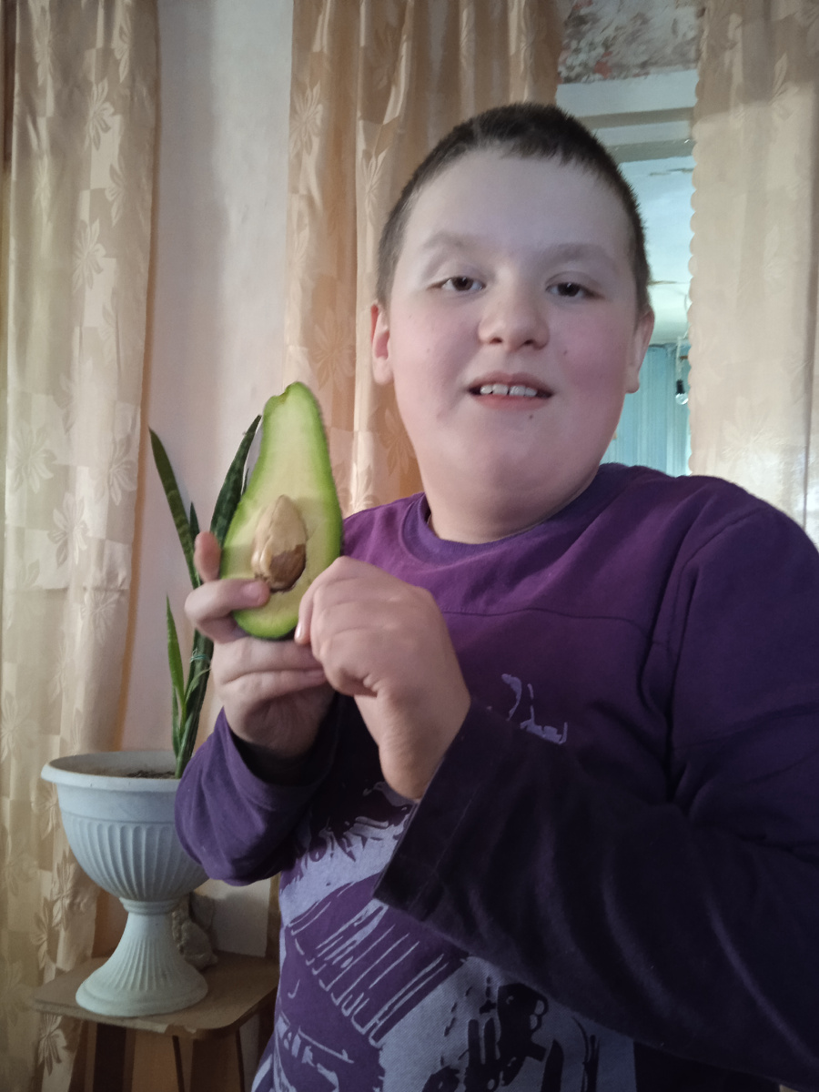 Сын и авокадо. Фото автора. 