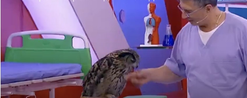 Момент укуса