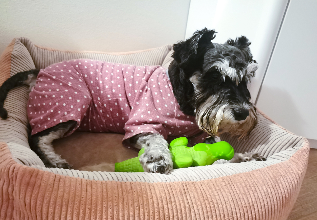 Ребёнок, наконец заполучивший то, что хотел