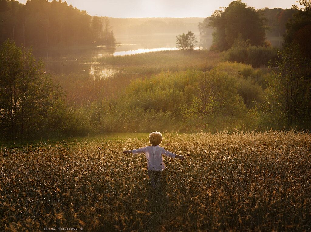 Изображение из открытых источников