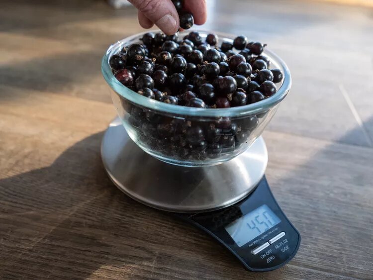    K Neville / Getty Images