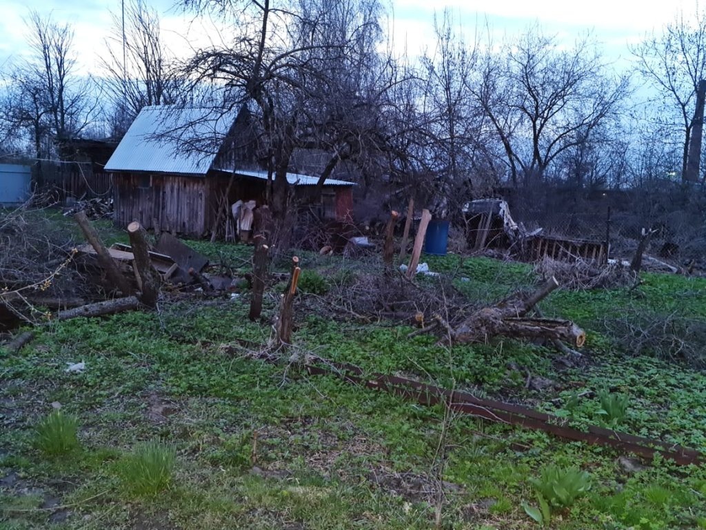 Площадка для работ - 4 сотки, 14 пней разных размеров