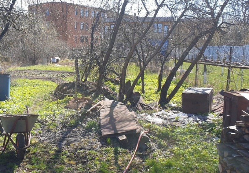 Деревья до вырубки. Межу в середине участка необходимо выровнять.