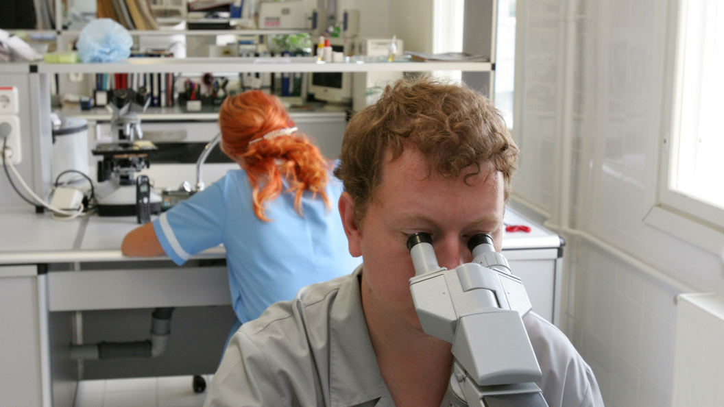    Nikolay Gyngazov/Globallookpress