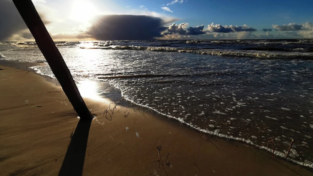    Фото: Victor Lisitsyn, Виктор Лисицын/Global Look Press/Globallookpress