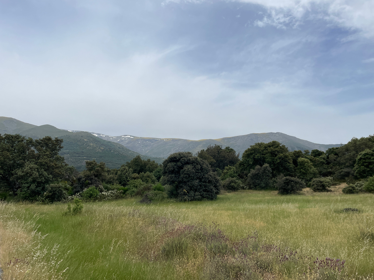 Окрестности Bohoyo очень живописны