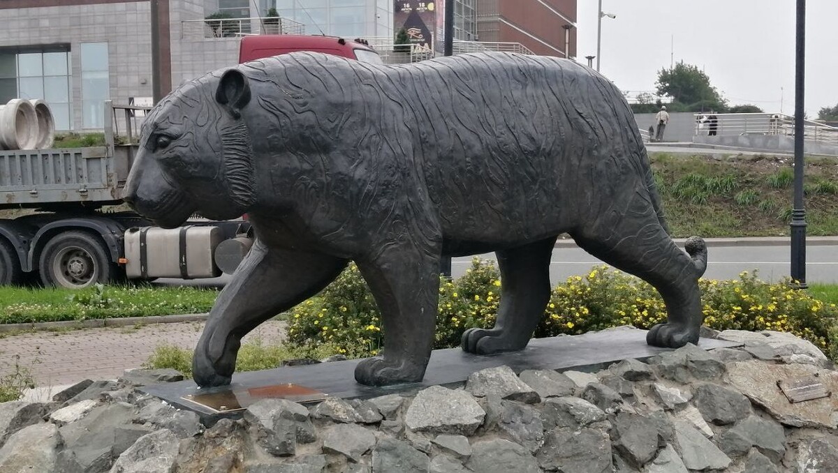     Источник: vostokmedia.com