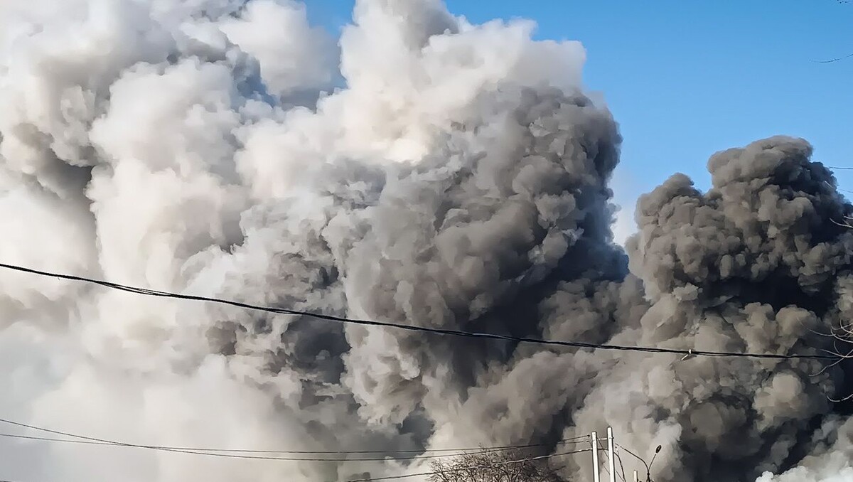     Источник: 1MI