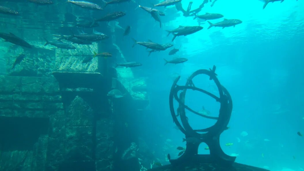    Фото: Walter Bibikow/Globallookpress