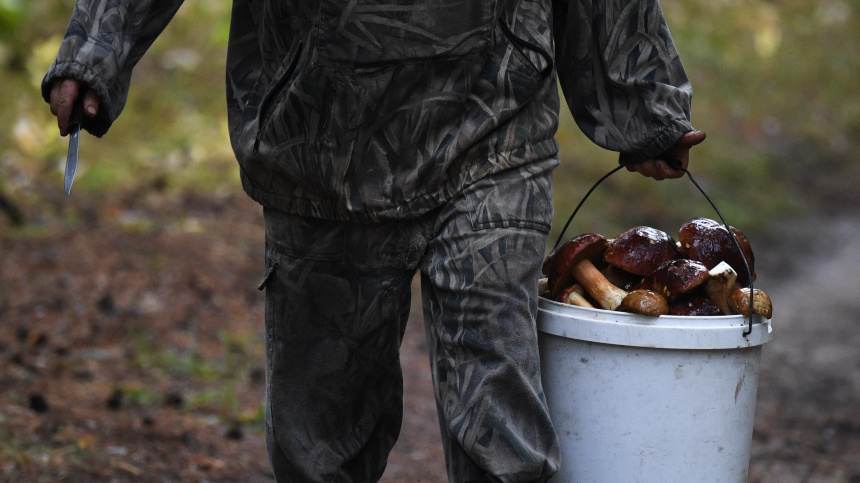    Фото: © РИА Новости/Александр Кряжев
