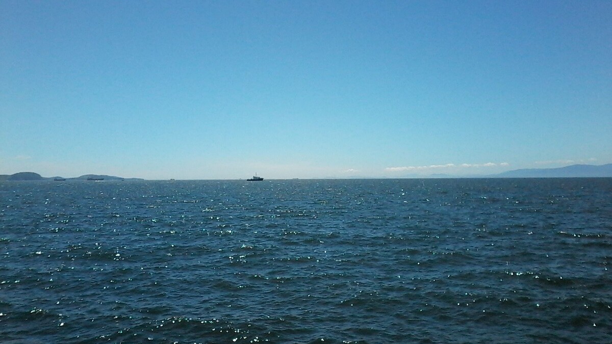     Источник: vostokmedia.com