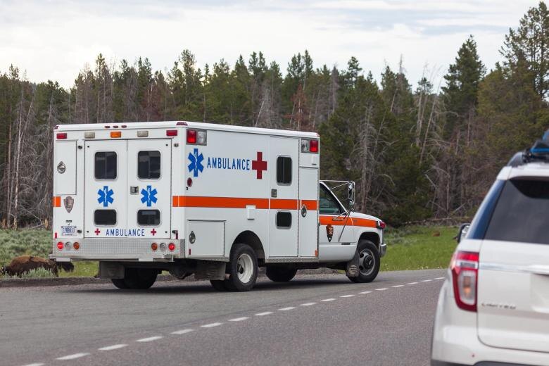    Shutterstock/FOTODOM