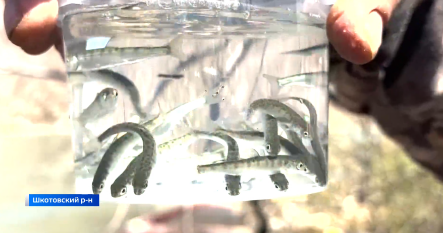    Источник фото: