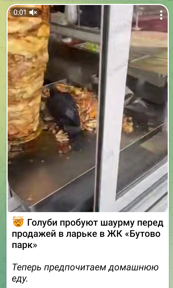 Скриншот из канала телеграм. Думаете, это единичный случай?