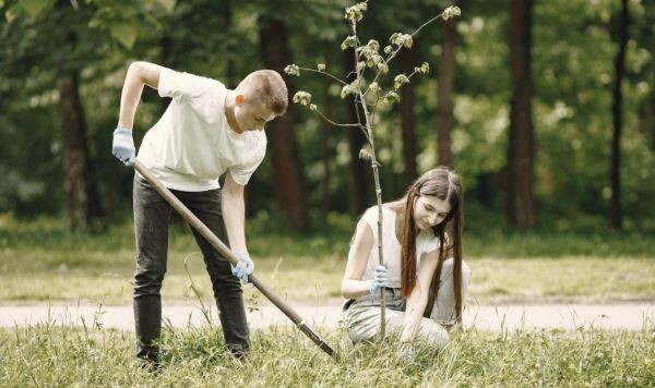   фото: freepik.com/prostooleh Ольга Шмырева