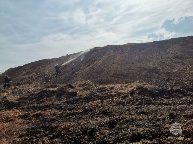    Фото: телеграм-канал "МЧС Красноярского края"