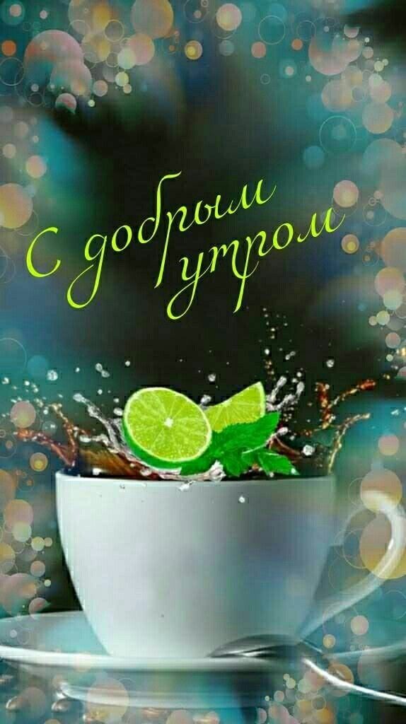 Фото из открытого источника в интернете.