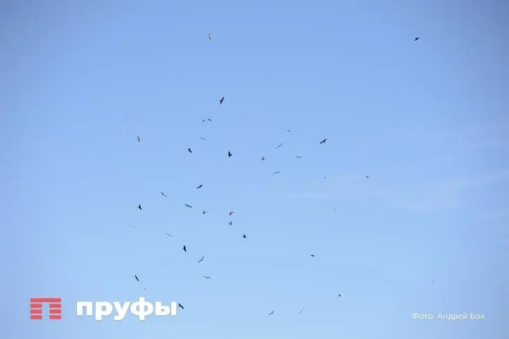    Фото: Пруфы.рф