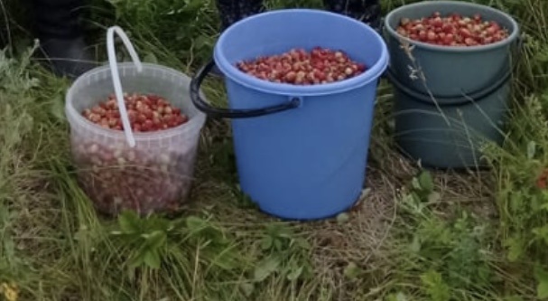 Потом добрали, но не сфоткали(. Забыли…