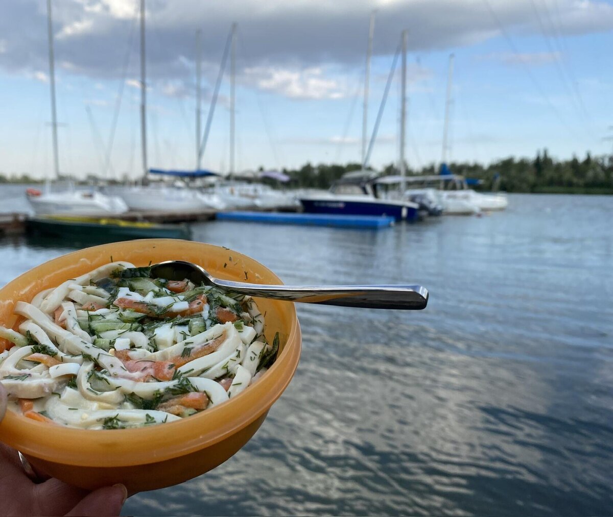 Салат "Лассо", ужин у Дона. Фото автора