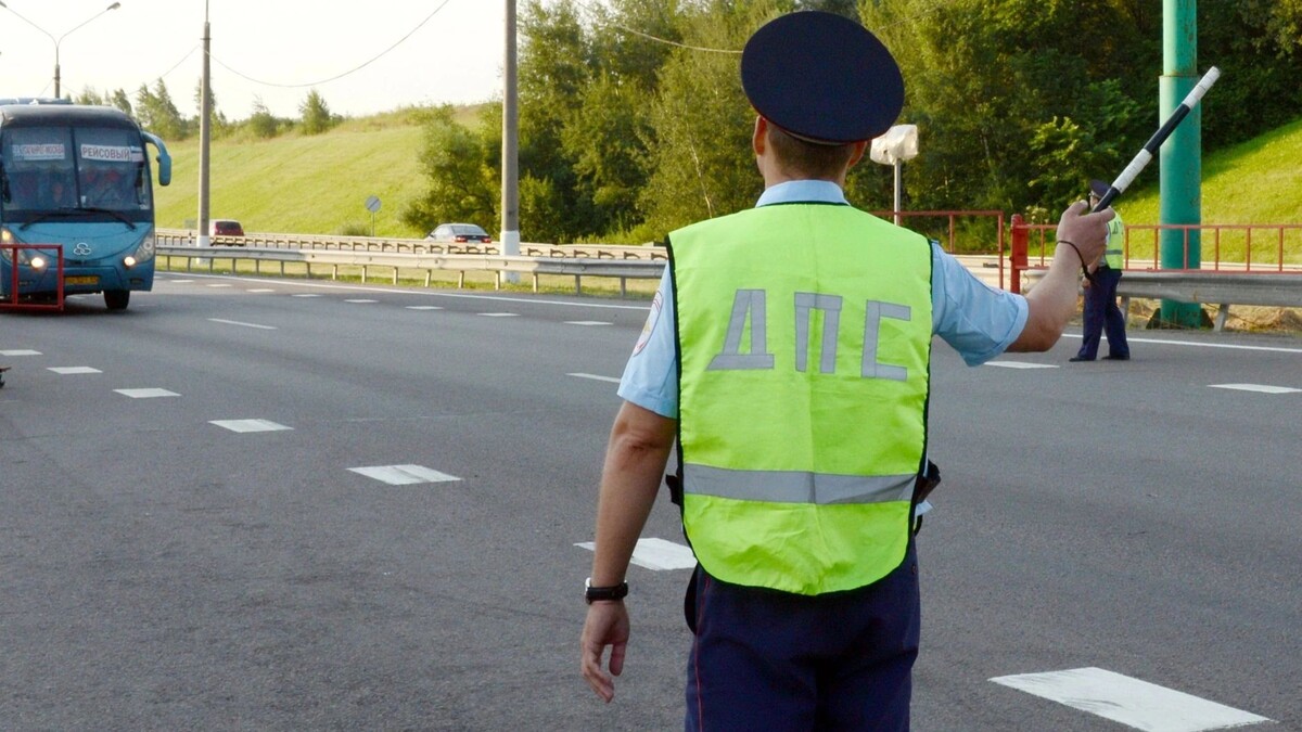    Фото: Free Wind 2014 / shutterstock.com / Fotodom