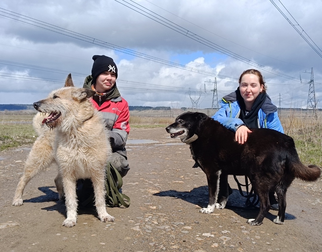 Дана, Грета, Кристина и Катя