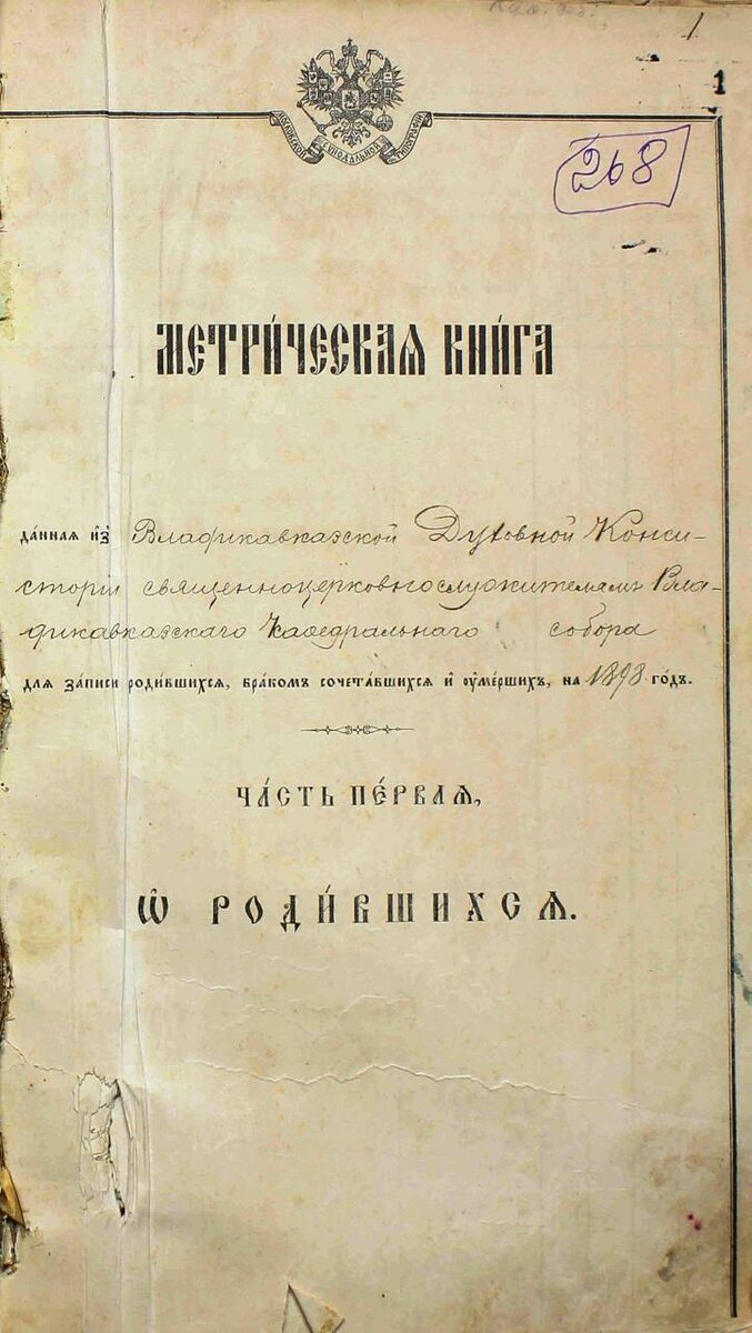    Фото: ТГ канал Сергей Меняйло