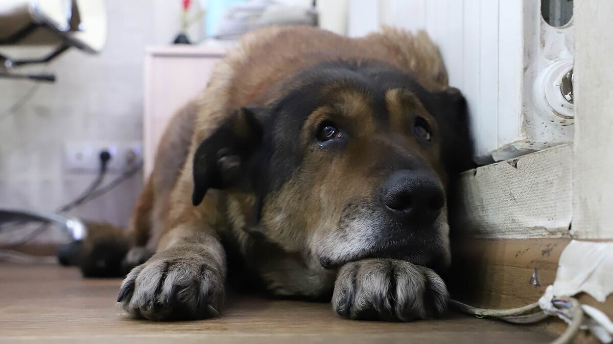 Фото Александра ВАСИЛЬЕВА.