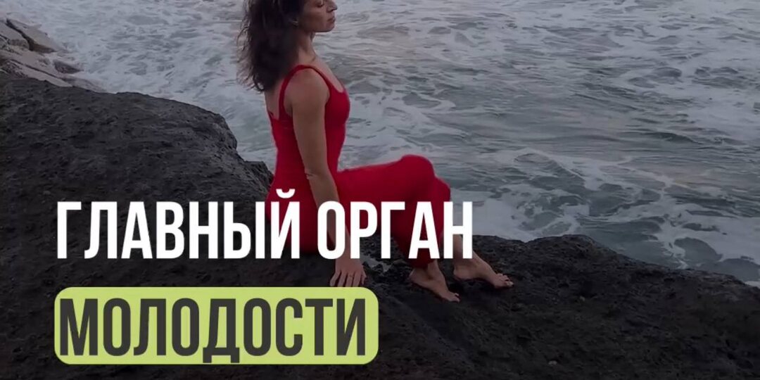 Главный орган молодости и долголетия.