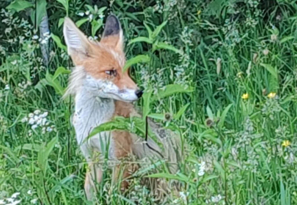   Фото: Светлана Васильева/VK Ульяна Бажанова