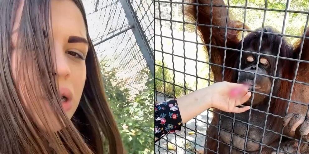    Фото: соцсети