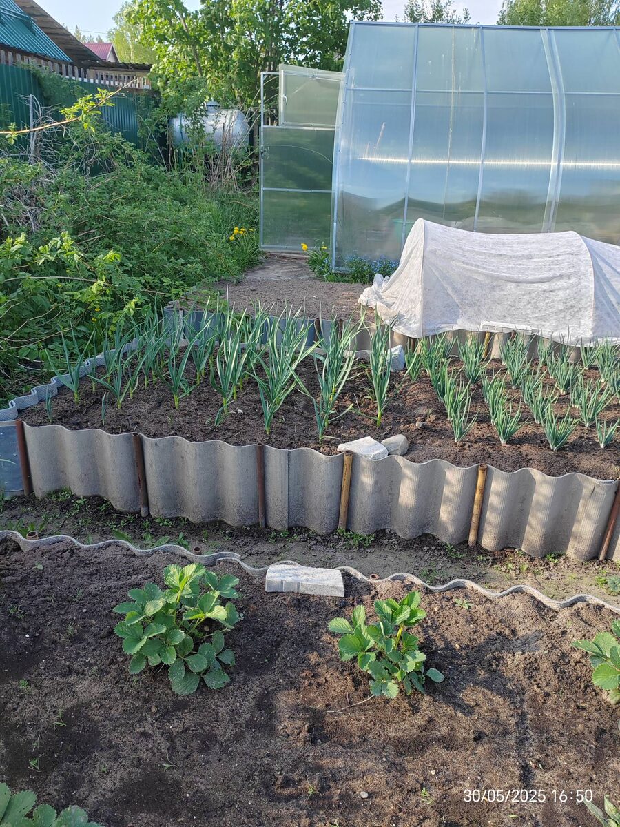 Более поздней фотографии не нашла (((