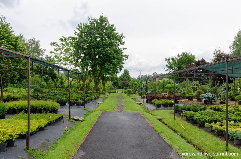 Питомник Алабино