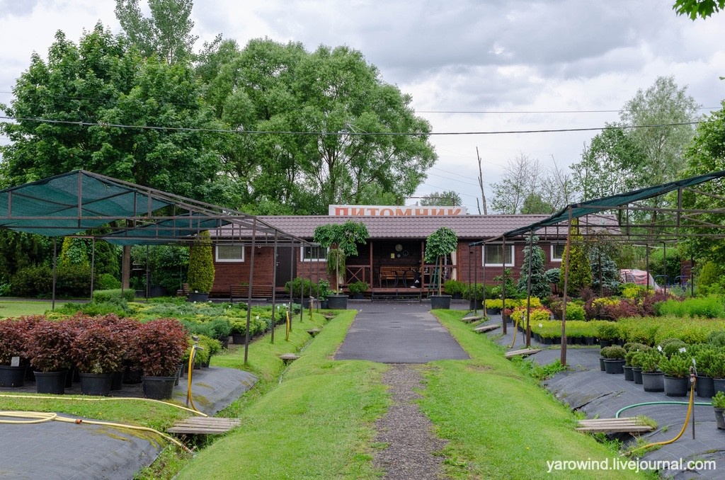 Питомник Алабино