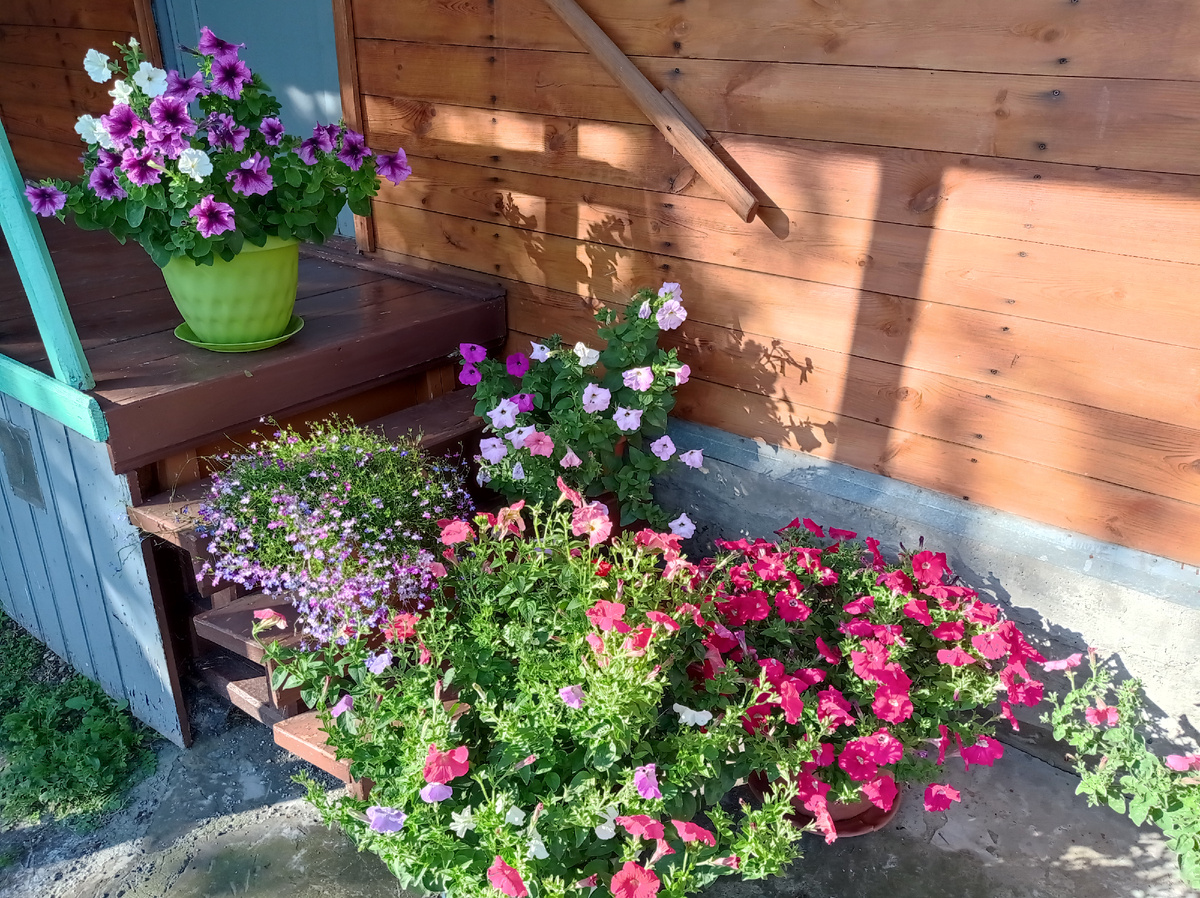 Крыльцо у мамы