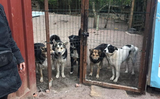    © Пресс-служба ГУФСИН России по г. Санкт-Петербургу и Ленинградской области