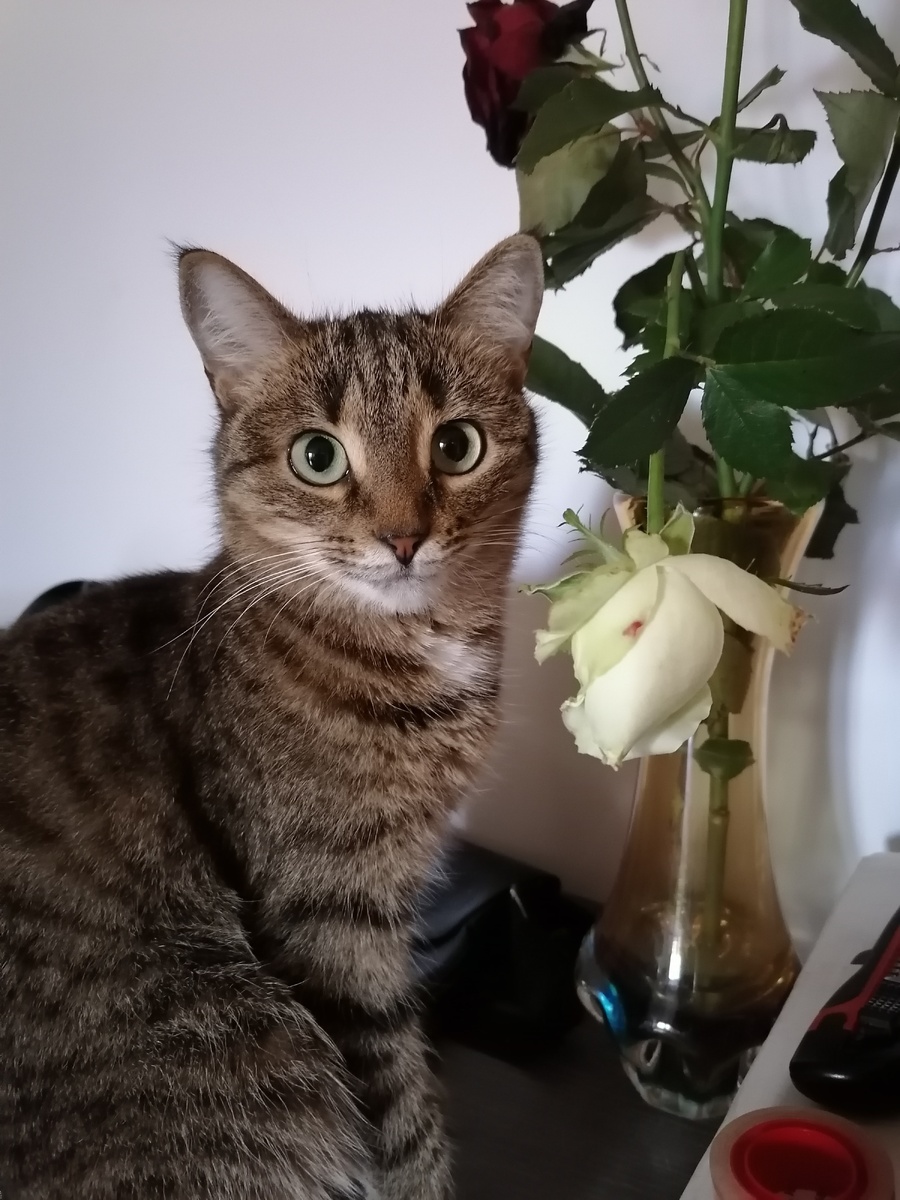 Даша. Фото автора