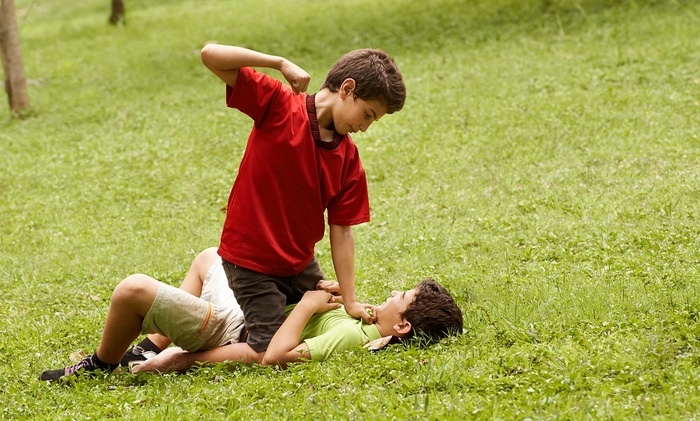    У родителей отнимут детей-хулиганов